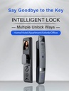 Tuya wifi door lock MSL02 with face recognition and fingerprint 