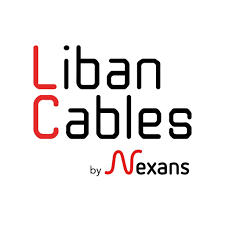 Liban Cables AC Cable NYA 3/029mm 100Yd