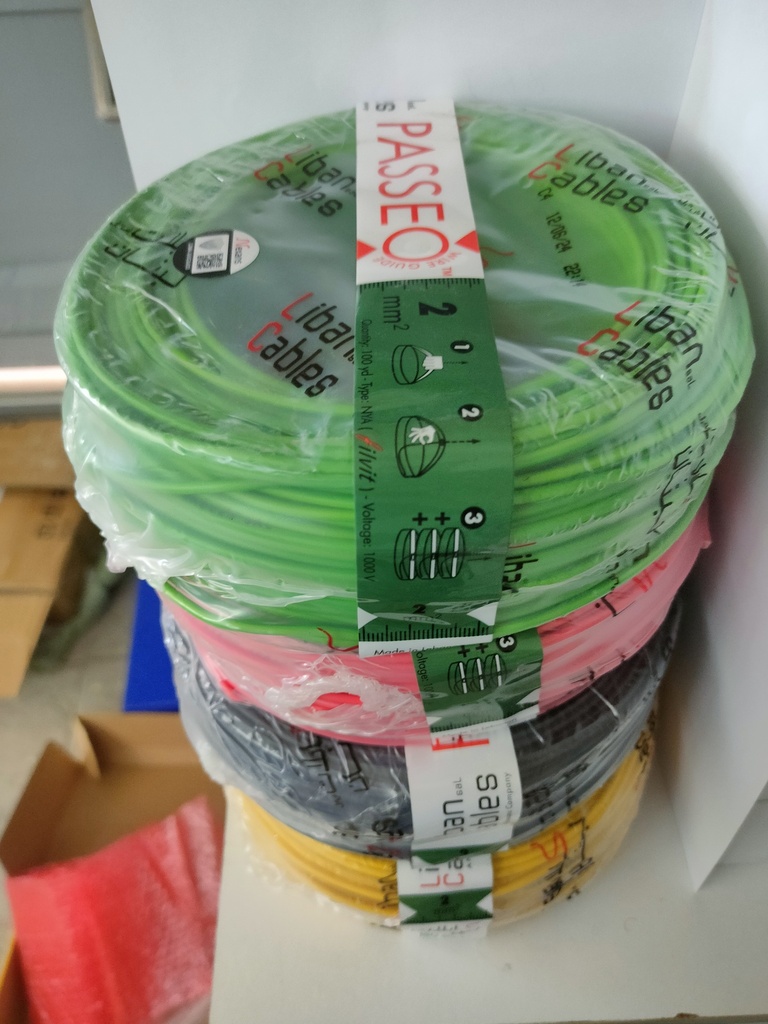 Liban Cables AC Cable NYA 3mm 100Yd 