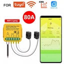 Tuya Wifi smart Bidirectional Energy Meter 80A With 2 Clamp Cts
