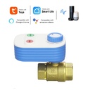 TUYA WiFi smart Brass valve for water with timer 3/4" 