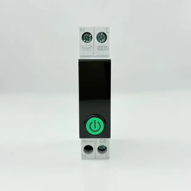 Tuya wifi smart switch with colored LCD  with energy meter 2P 40A  