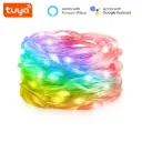 Tuya Wifi RGB Smart fairy strip Light 10 m outdoor with 12v eu adapter PST-MSL-10M
