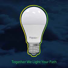 Pigozzo 15W Warm white 3000k Led Lamp 1450 Lumens PIG-A65S  