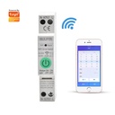 GXPR TUYA Smart Switch 1P+N 40A