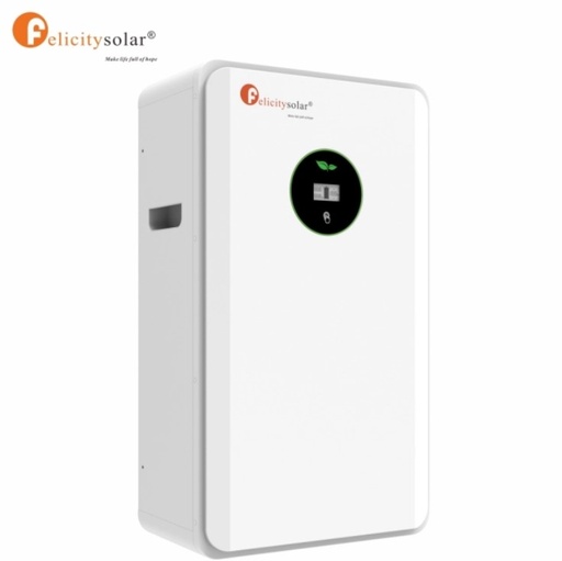 Felicity Lithium Battery 12.5KWh 51.2v FLA8250