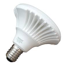 [PIG-F1 70W 5600 Lumen LIG-1059] Pigozzo Led PIG-F1 70W 5600 Lumen Day Light